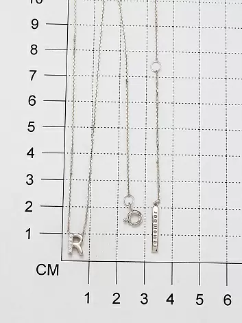 Колье 06-2980.08КЦ-00 серебро Буква R