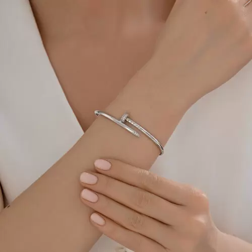 Браслет жесткий 94051502 серебро Картье Гвоздь_1