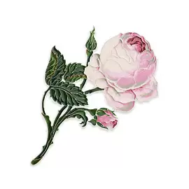 Брошь 41669 серебро розы зимнего дворца_0