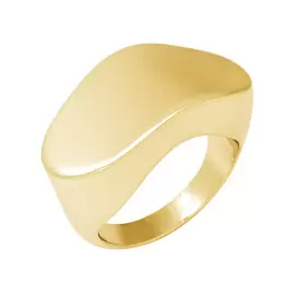 Кольцо KV-1-001G-MIRRORS серебро_0